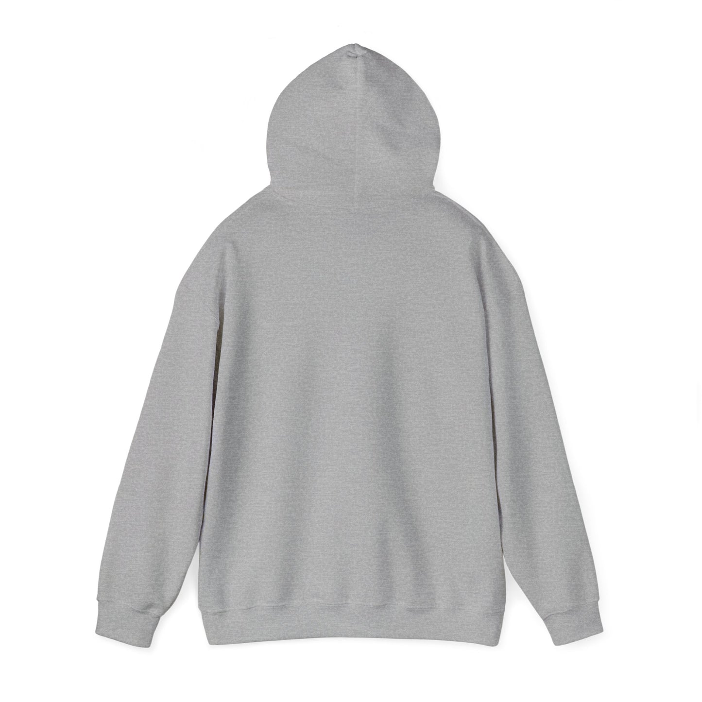 SolLingo Logo Adult Unisex Heavy Blend™ Hooded Sweatshirt in Grey or Black