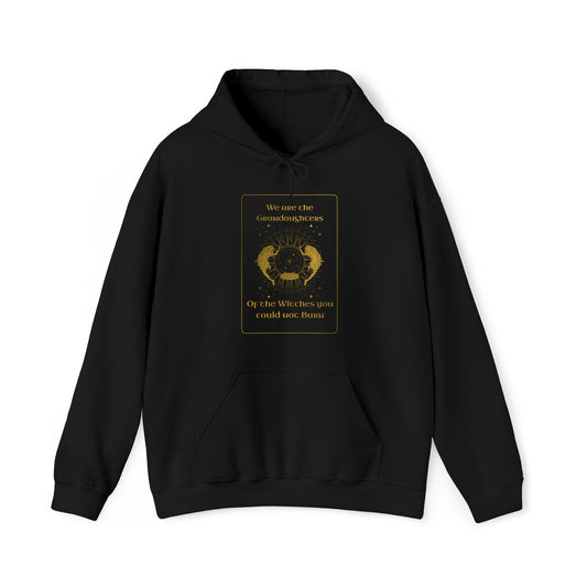 SolLingo Hoodie We Are The Grand Daughters Of the Witches You Could Not Burn Adult Unisex Heavy Blend™ Hooded Sweatshirt